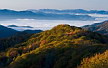 Parque Nacional Great Smoky Mountains