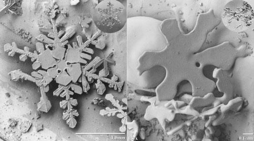 Copo de nieve bajo el microscopio