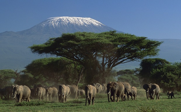 Parque Amboseli