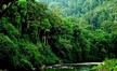 Kalimantan