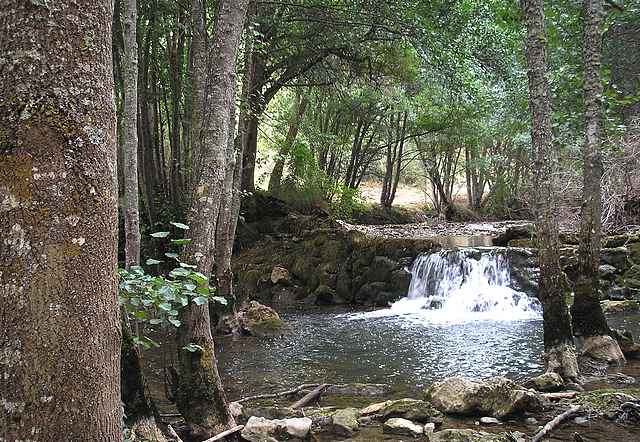 Río Rudrón
